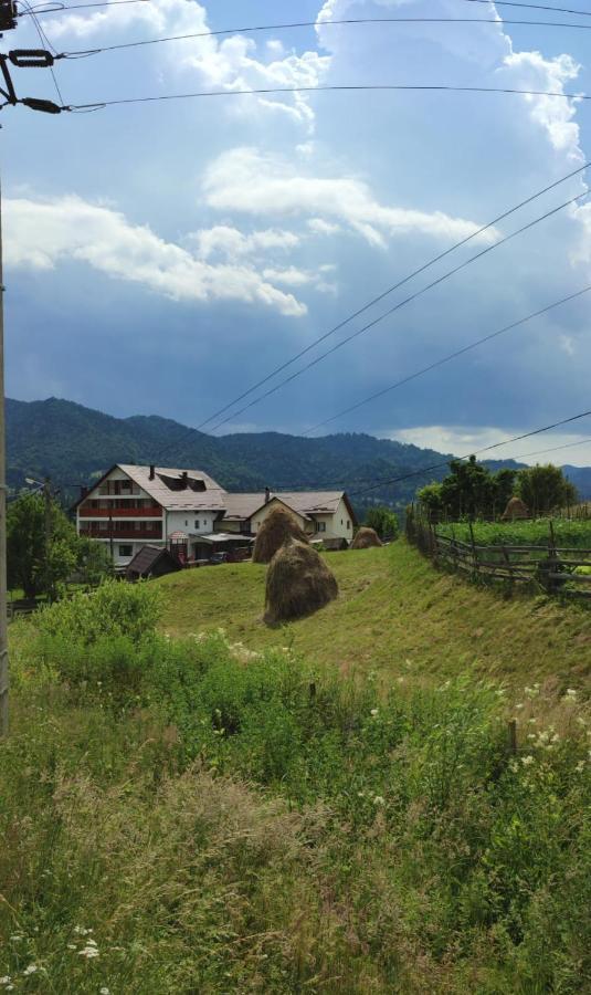 Casa De Vacanta Perla Colibitei Колибица Экстерьер фото